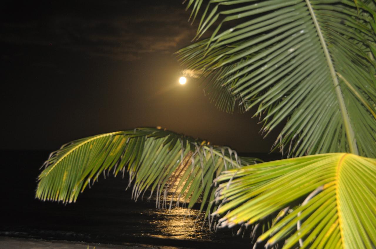 Отель Sabal Beach Monkey River Town Экстерьер фото