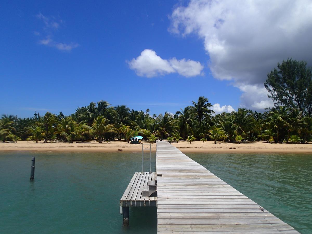 Отель Sabal Beach Monkey River Town Экстерьер фото