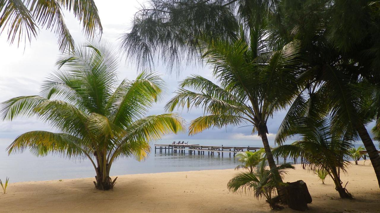 Отель Sabal Beach Monkey River Town Экстерьер фото